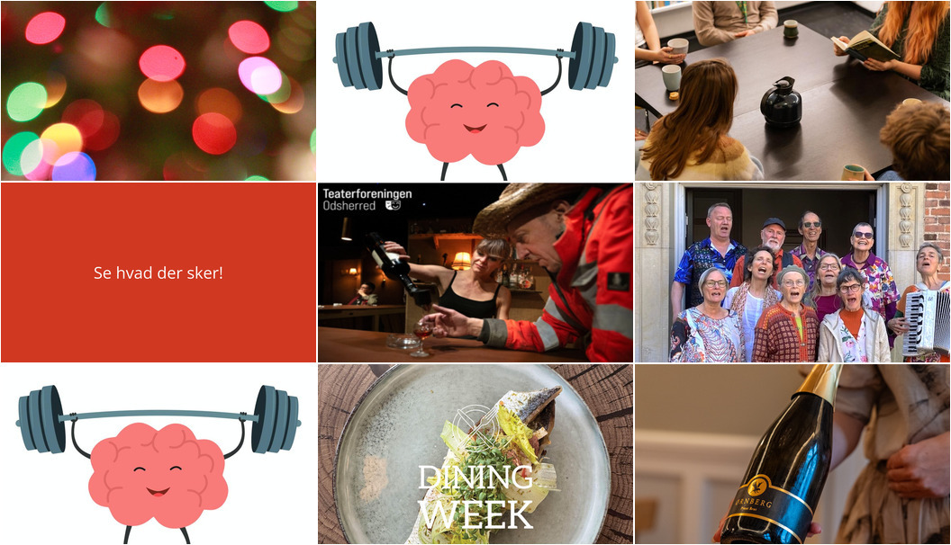 Opdag ugen i Nykøbing Sjælland: Fra intime samtaler om kræft til eksklusive gastronomiske oplevelser