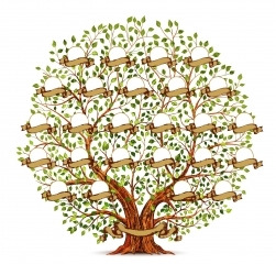 Få hjælp til slægtsforskning på Odense Hovedbibliotek