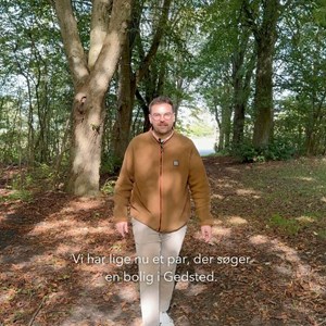 Opslagsbillede