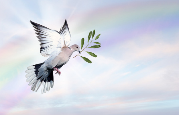 Mindeord - Lis Schønbech