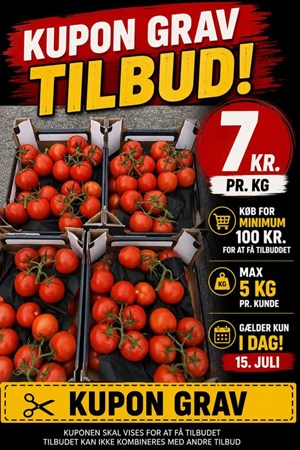 opslagsbillede