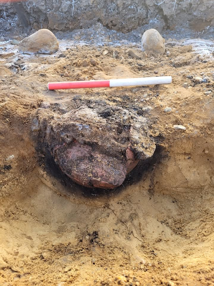 Museerne i Holstebro afdækker den første urnegrav fra jernalderen i Halgaarde Enge