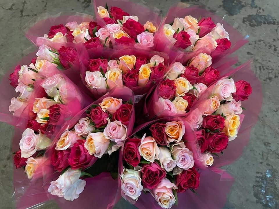 Løvbjerg Frederikshavn tilbyder pastel mix roser til kun 39,99 kr