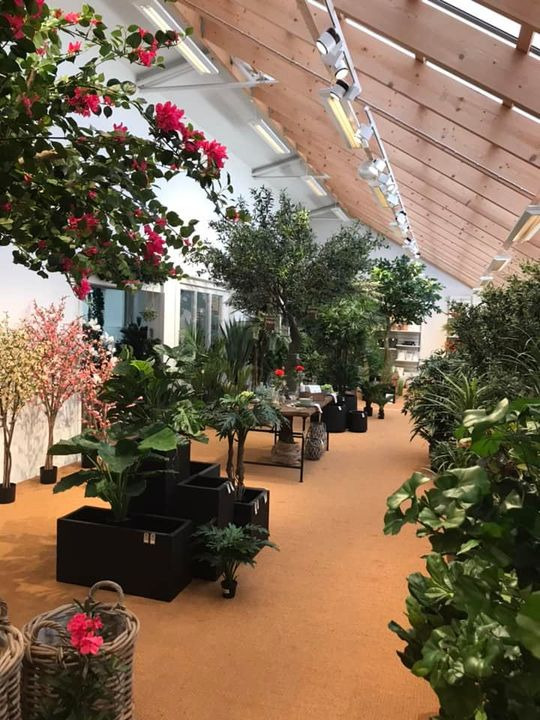 Hold trit med lokalområdet: Nyt fra Skive