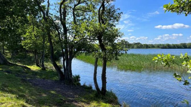 Oplev Viborgs naturskønhed på en 6 km vandretur
