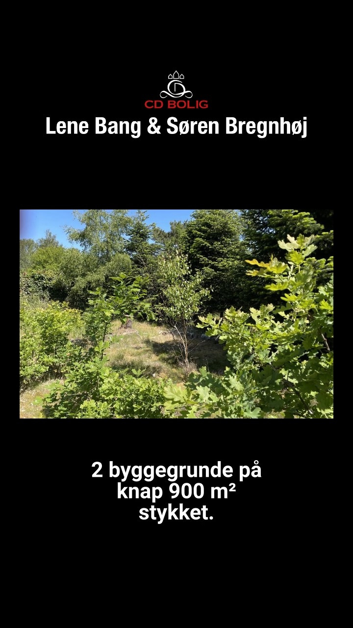 Opslagstavlen: Nyeste opdateringer fra Silkeborg