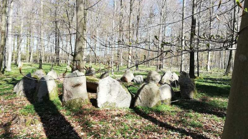 Oplev Sorøs sydlige skove med Dansk Vandrelaug