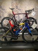 Birks Bike Shop ApS fejrer Mads Pedersens sejr i Gent-Wevelgem 2025 og har cyklen på lager