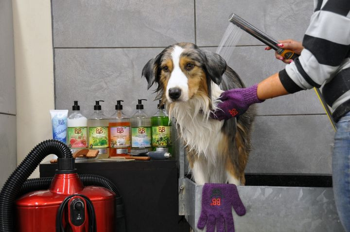 Hold trit med lokalområdet: Nyt fra Sæby