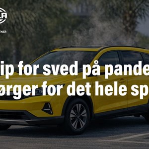 Opslagsbillede