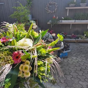 opslagsbillede