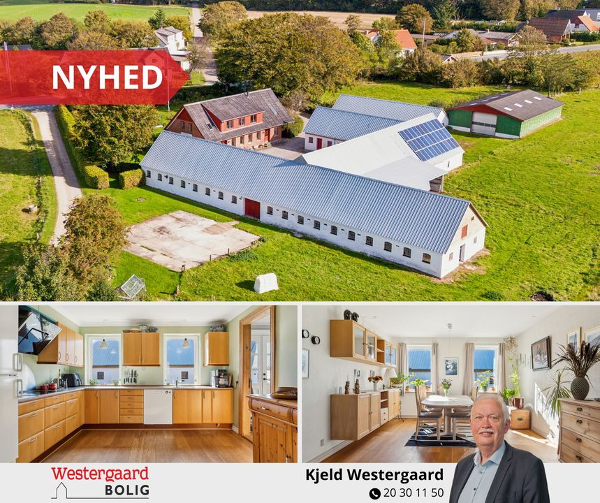 Attraktiv landejendom med energimærke B fra Westergaard Bolig til salg i Hallund