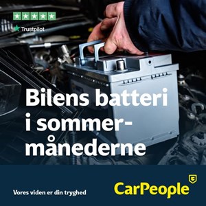 opslagsbillede