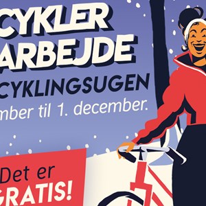 Opslagsbillede