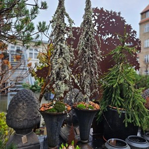 Opslagsbillede