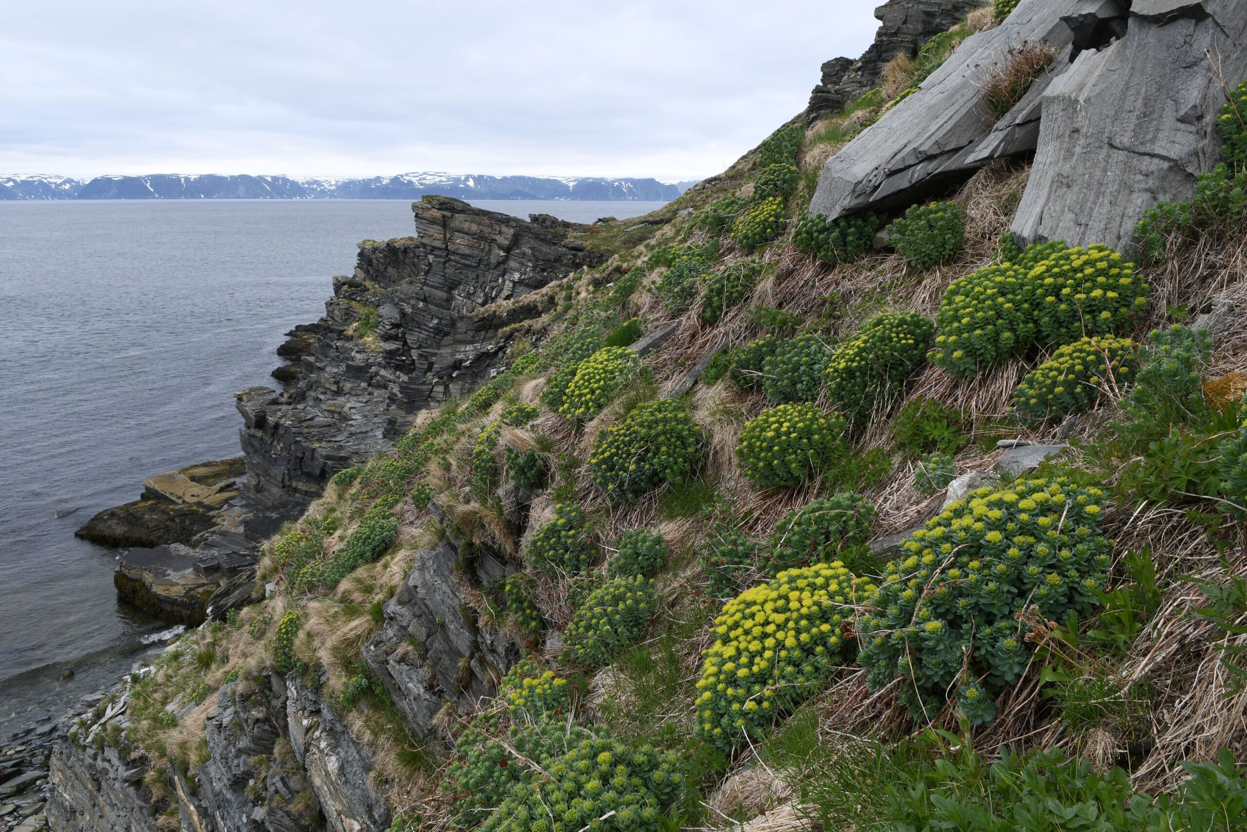 Foredrag om vegetationsudvikling og klimaændringer i Væksthusene