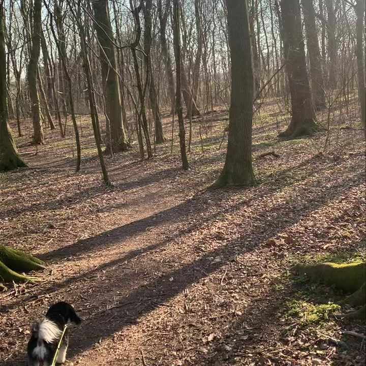 Opdatér dig her: Det nyeste fra Støvring