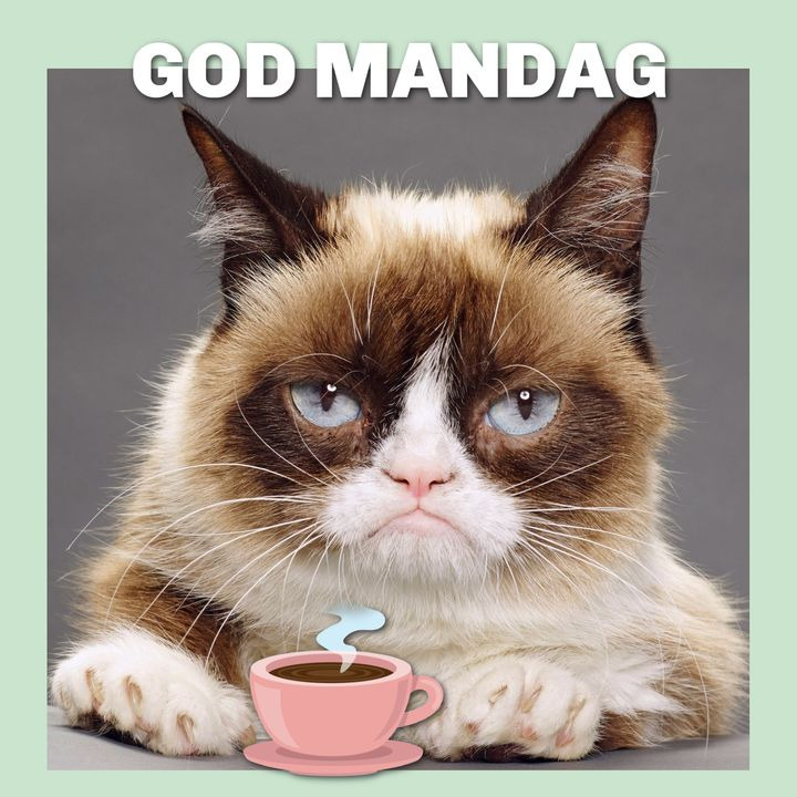 Hold dig ajour med dagens opdateringer fra Billund