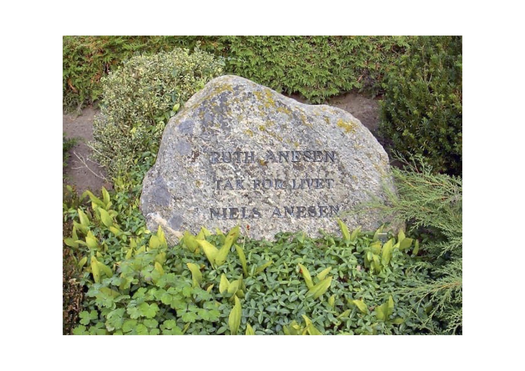 Niels Anesen og hans forfatterskab