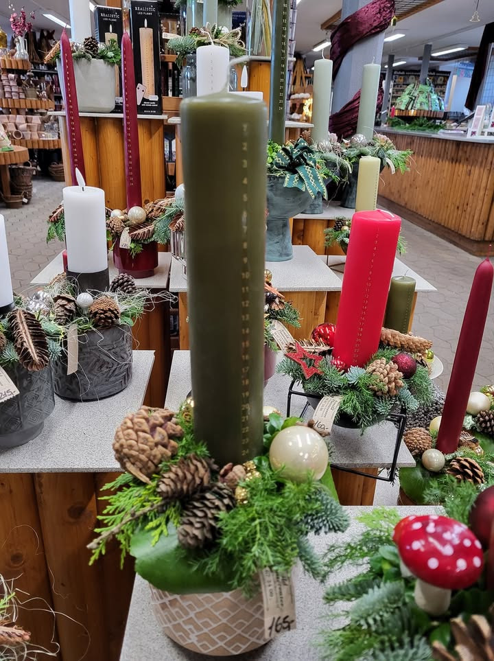 Asmild Plantecenter ApS fejrer Black Friday med faste priser og god service året rundt