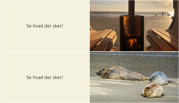 Oplev Fanø i Weekenden: Saunaoplevelse og Sælsafari