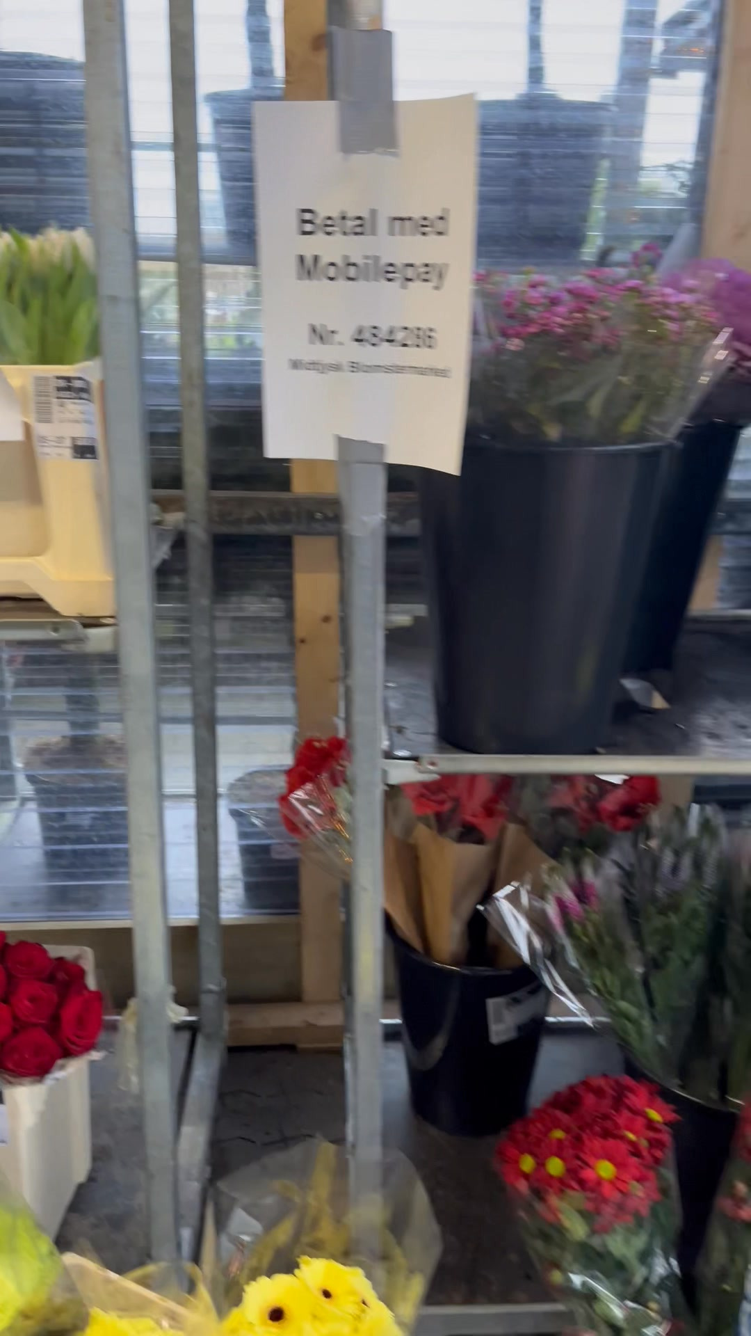 Midtjysk blomstermarked holder vindfanget åbent med selvbetjening til kl. 18:00 i dag 26/12/24