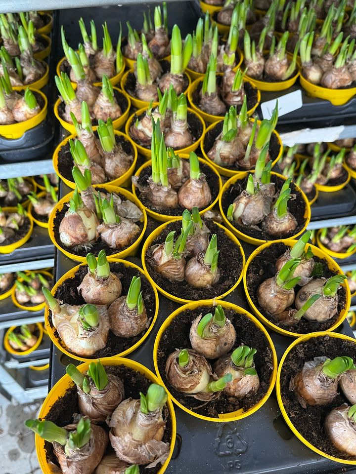 Hold trit med lokalområdet: Nyt fra Odder