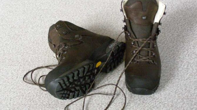 Vandretur i Nordskoven: Oplev naturen nord for Slagelse