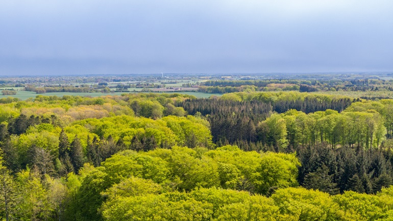 Nye skovområder på vej i Danmarks Outdoor Hovedstad