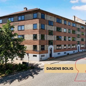Opslagsbillede