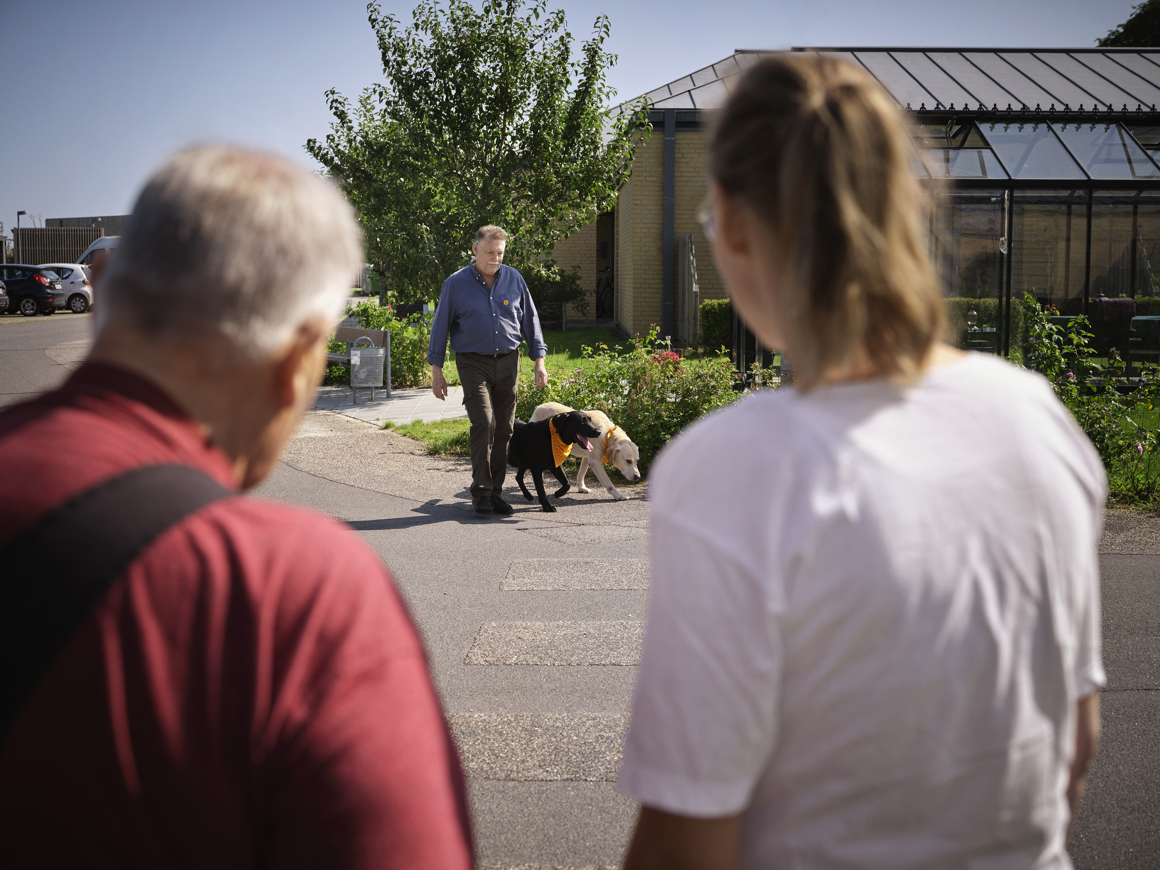 30 hunde skal til optagelsesprøve på Plejehjemmet Skanselyet i Hillerød for at blive en del af TrygFonden Besøgshunde