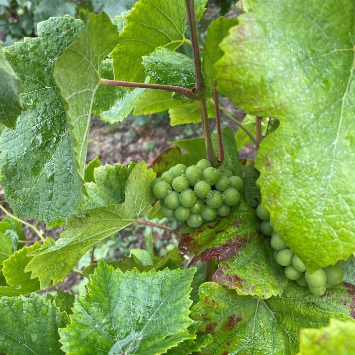 Se dagens updates fra Horsens her