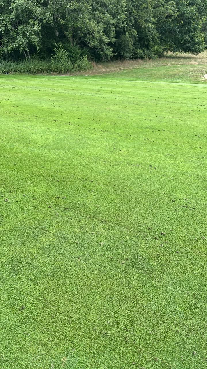 Aarhus Golf Club vertikalskærer greens let i dag