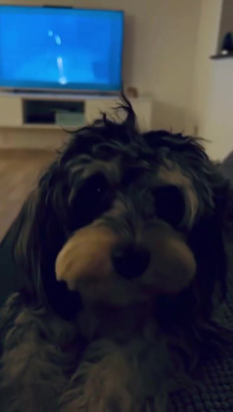 Opslagstavlen: Nyeste opdateringer fra Herning