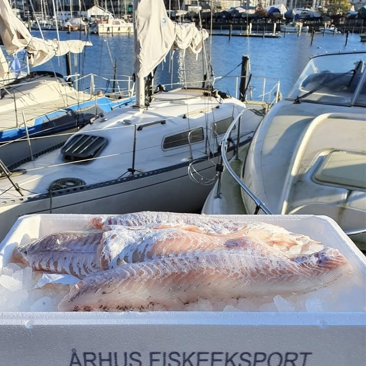 SUPERBRUGSEN DRONNINGLUND præsenterer ja tak tilbud på kullerfilet