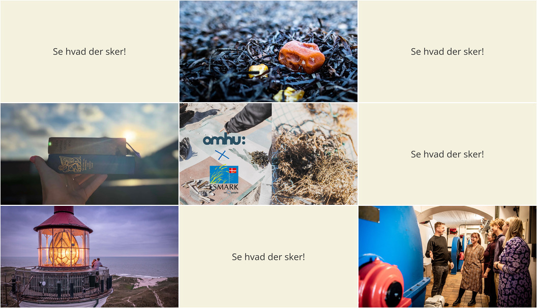 Ugen i Hvide Sande byder på ravsafari, morgensang og unikke naturoplevelser