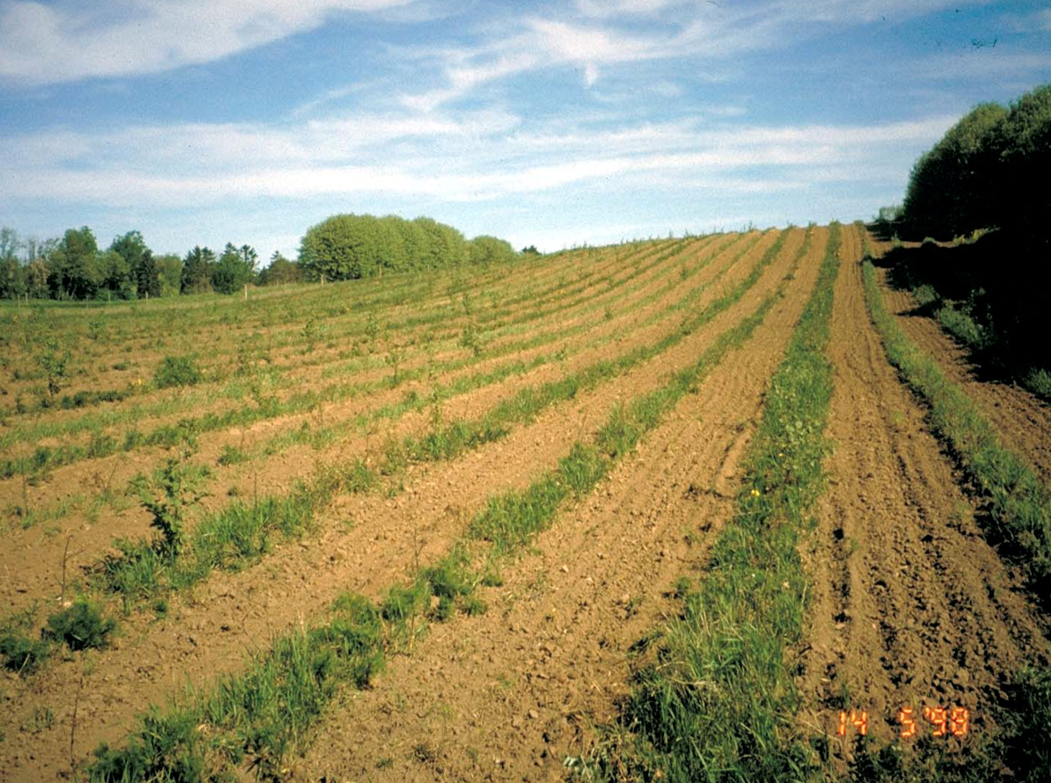 Informationsmøde om ny statsskov i Ballerup