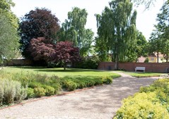 SnapsTalks taler til hjerne og hjerte