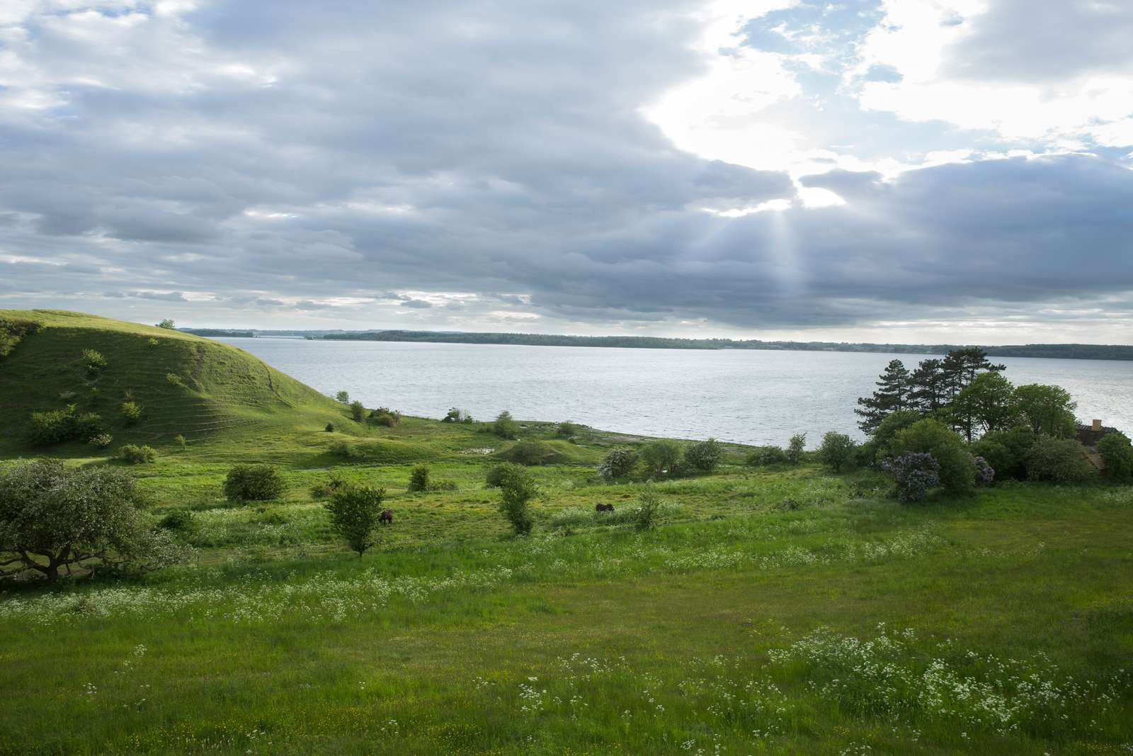 Klima-borgermøde i Lejre: Sæt dit præg på den grønne omstilling
