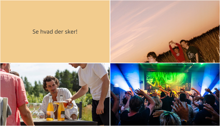 Kommende Begivenheder i Allinge: Musik, Middag i Frugtplantagen og Live Tribute Koncert