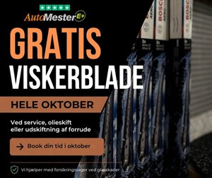 opslagsbillede