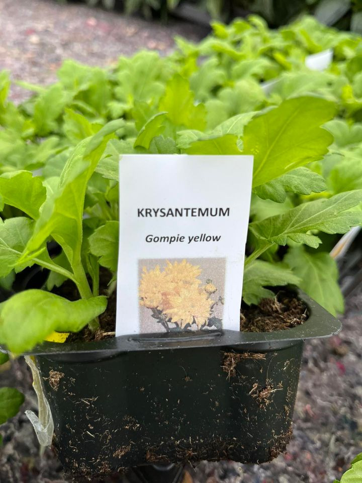 Opslagstavlen: Nyeste opdateringer fra Horsens