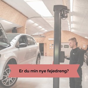 Opslagsbillede