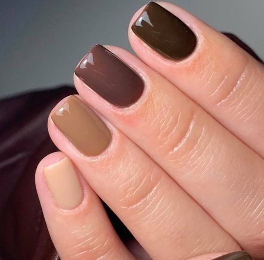 Dagens vigtigste lokale nyheder på sociale medier