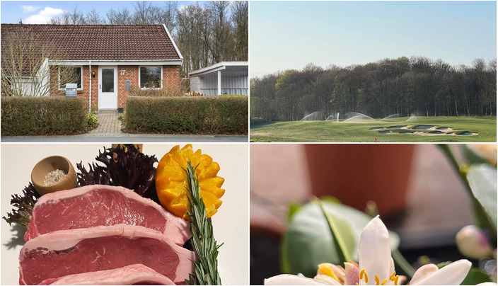 Nyt fra Beringsslagteren ApS, StensballeGaard Golfklub, EDC Hedensted og 1 anden