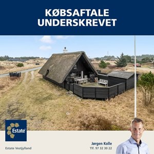 Opslagsbillede