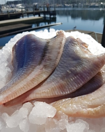 Tilbud på tirsdags fisk hos Beringsslagteren ApS: 8 danske rødspætter for 225 kr.