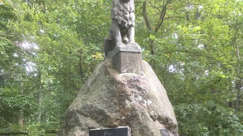 Oplev Vestsjællands smukke landskab på en vandretur