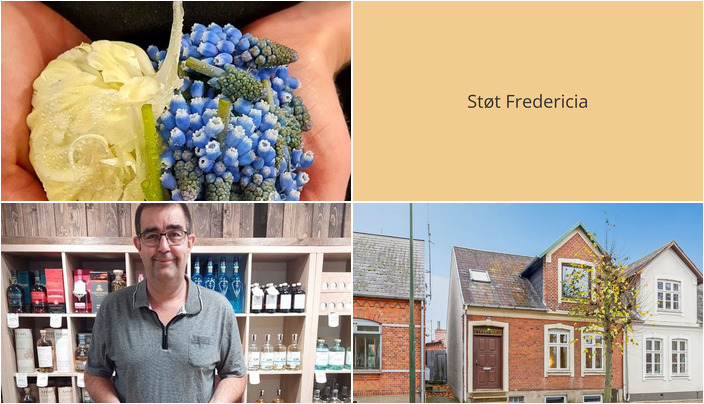 Nyt fra FREDERICIA VINHANDEL, RealMæglerne Middelfart og IRIS BLOMSTER
