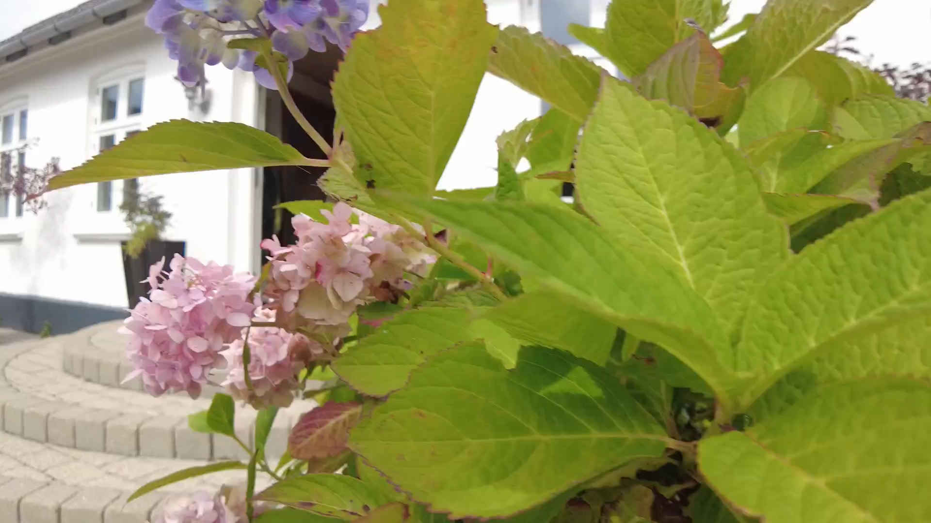 Hold trit med lokalområdet: Nyt fra Fredericia